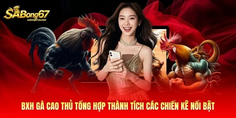 BXH gà cao thủ tổng hợp thành tích các chiến kê nổi bật BXH gà cao thủ tổng hợp thành tích các chiến kê nổi bật
