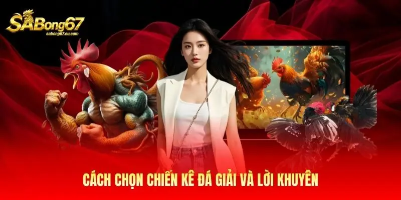 Cách chọn chiến kê đá giải và lời khuyên Cách chọn chiến kê đá giải và lời khuyên
