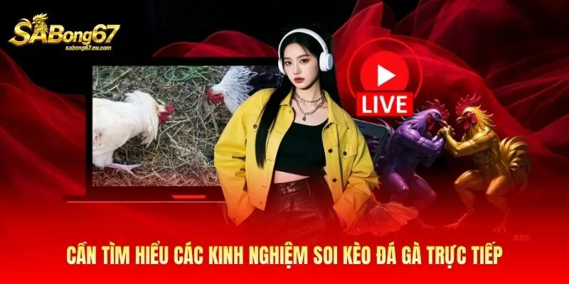 Cần tìm hiểu các kinh nghiệm soi kèo đá gà trực tiếp Cần tìm hiểu các kinh nghiệm soi kèo đá gà trực tiếp