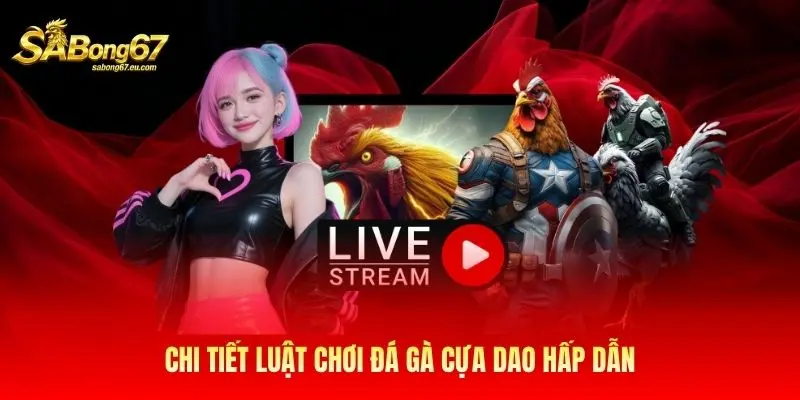 Chi tiết luật chơi đá gà cựa dao hấp dẫn Chi tiết luật chơi đá gà cựa dao hấp dẫn