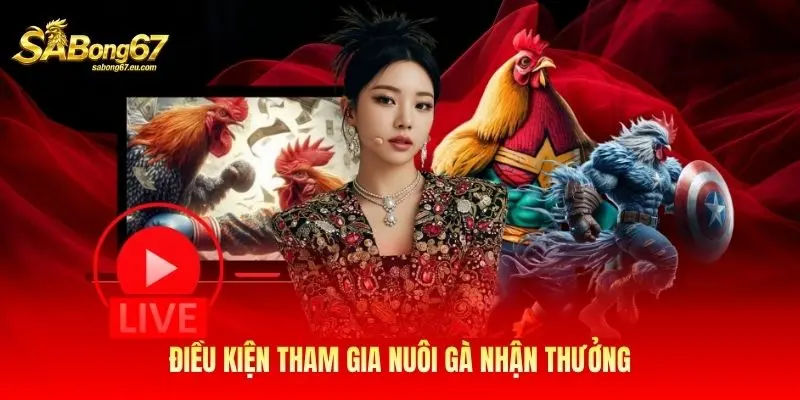 Điều kiện tham gia nuôi gà nhận thưởng Điều kiện tham gia nuôi gà nhận thưởng