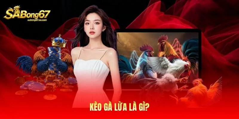 Kèo gà lừa là gì? Kèo gà lừa là gì?