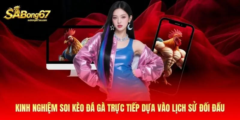 Kinh nghiệm soi kèo đá gà trực tiếp dựa vào lịch sử đối đầu Kinh nghiệm soi kèo đá gà trực tiếp dựa vào lịch sử đối đầu