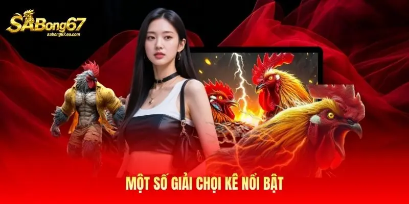 Một số giải chọi kê nổi bật Một số giải chọi kê nổi bật