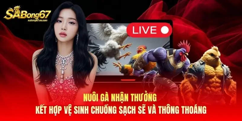 Nuôi gà nhận thưởng kết hợp vệ sinh chuồng sạch sẽ và thông thoáng Nuôi gà nhận thưởng kết hợp vệ sinh chuồng sạch sẽ và thông thoáng