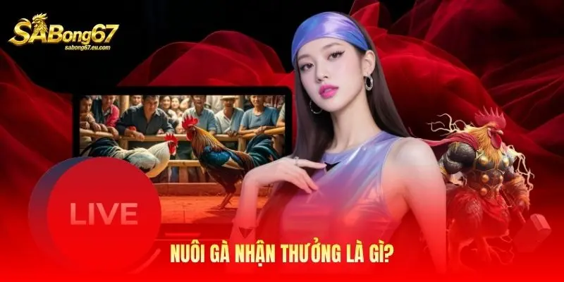 Nuôi gà nhận thưởng là gì? Nuôi gà nhận thưởng là gì?