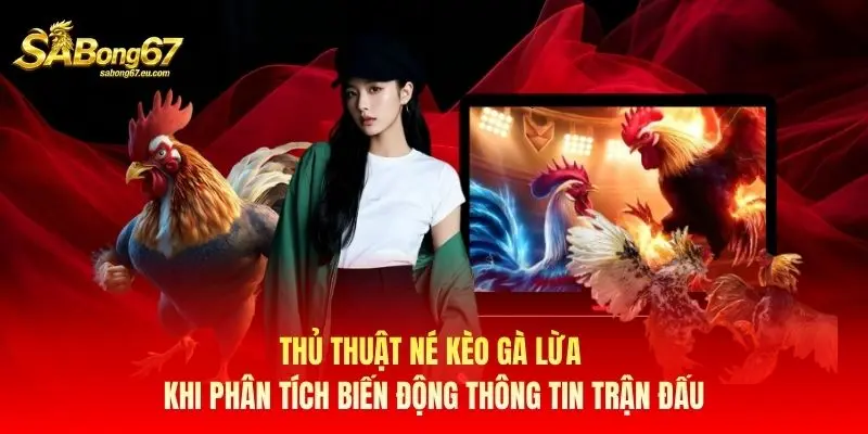Thủ thuật né kèo gà lừa khi phân tích biến động thông tin trận đấu Thủ thuật né kèo gà lừa khi phân tích biến động thông tin trận đấu