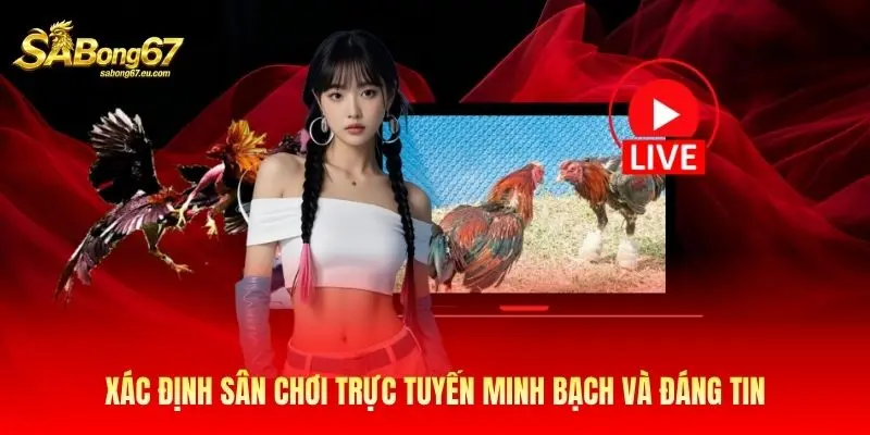Xác định sân chơi trực tuyến minh bạch và đáng tin Xác định sân chơi trực tuyến minh bạch và đáng tin