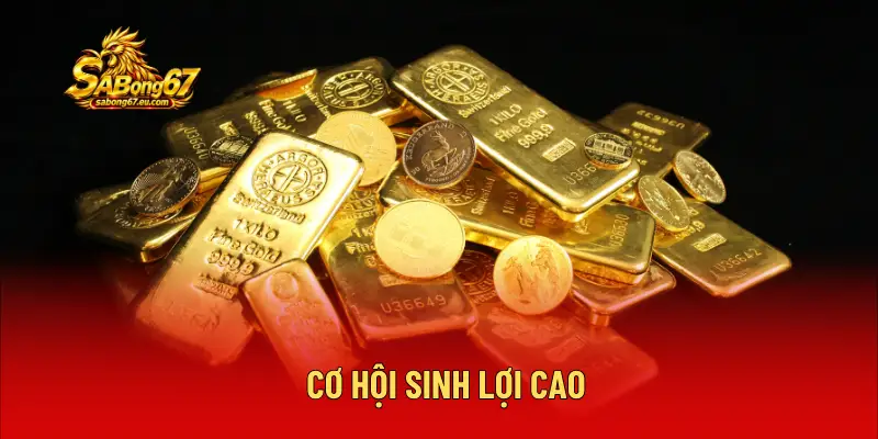 Cơ hội kiếm tiền lớn là một lý do khiến nhiều người tham gia cá cược đá gà C1