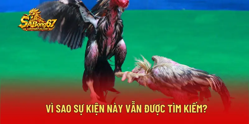 Vì sao sự kiện này vẫn được tìm kiếm?